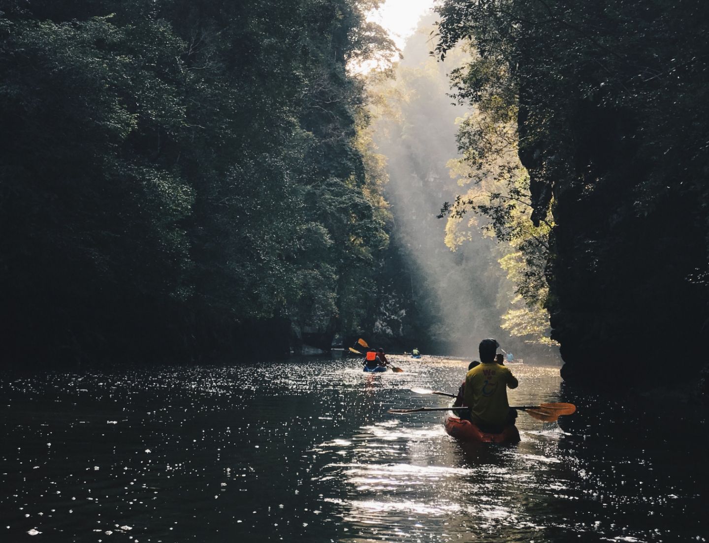 Read more about the article Discover Local Excellence at Hemlock Park