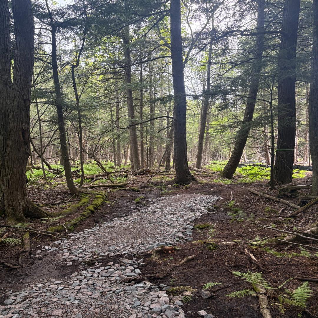 Read more about the article The Preserve Next Door