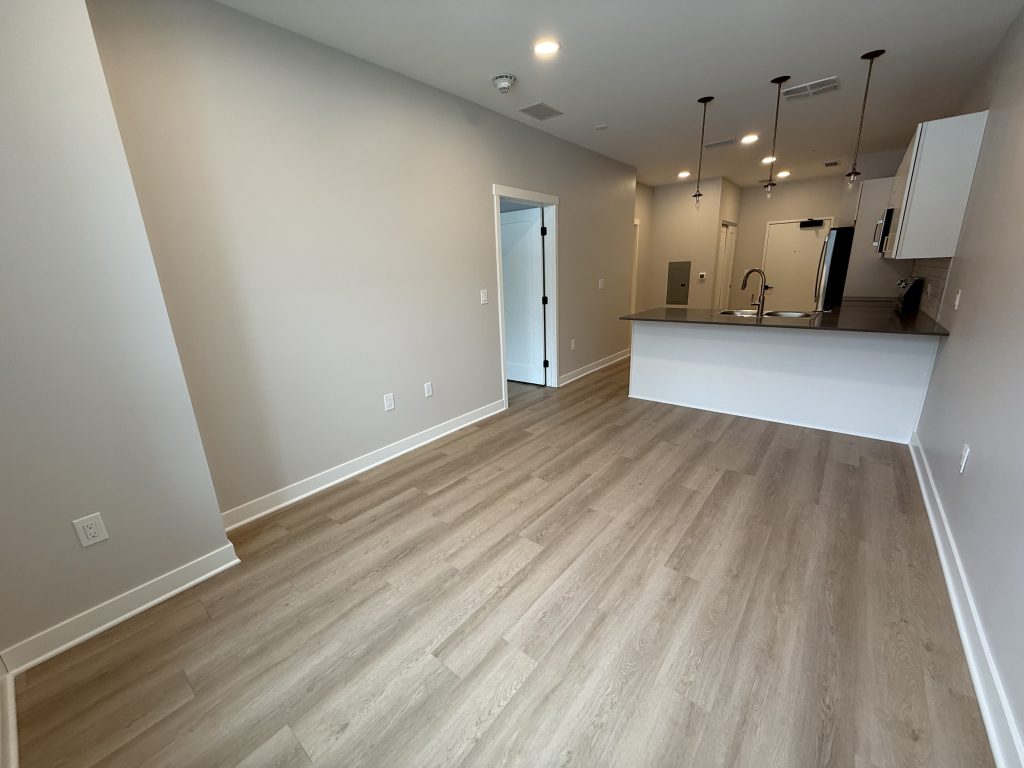Living Area & Kitchen
